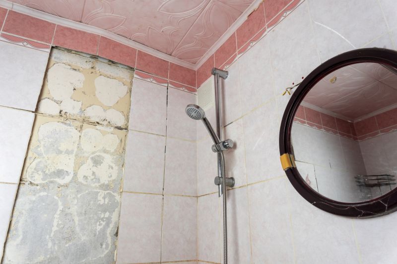 Top Shower Remodeling Companies in Palatine, IL