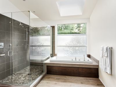 Top Tub To Shower Conversion Companies in Crystal Lake, IL