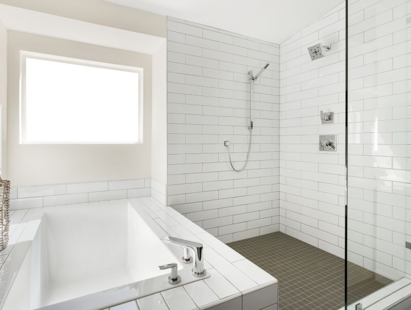 Top Tub To Shower Conversion Companies in Elk Grove Village, IL